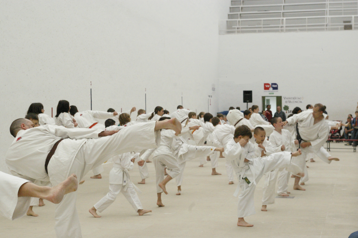 Main image of Club Karate Shotokan Pedreguer