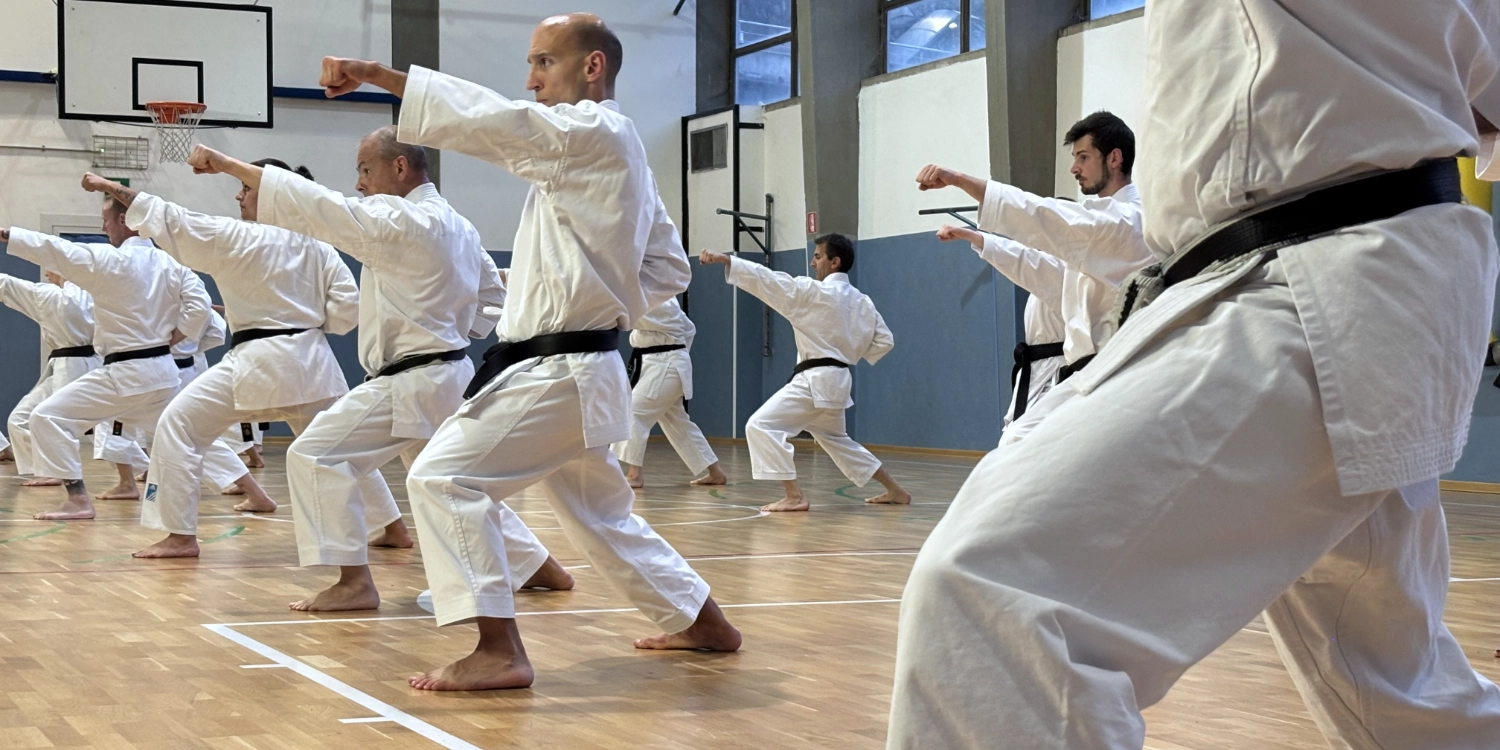 Main image of Club Karate Valle d'Aosta