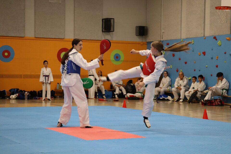 Main image of Club Taekwondo Boucherville