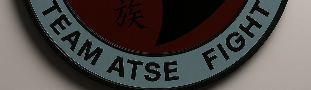 Main image of Clube de artes marciais mistas Atse Fight