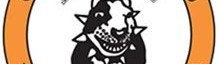 Main image of Clube de Jiu jitsu Pitbull