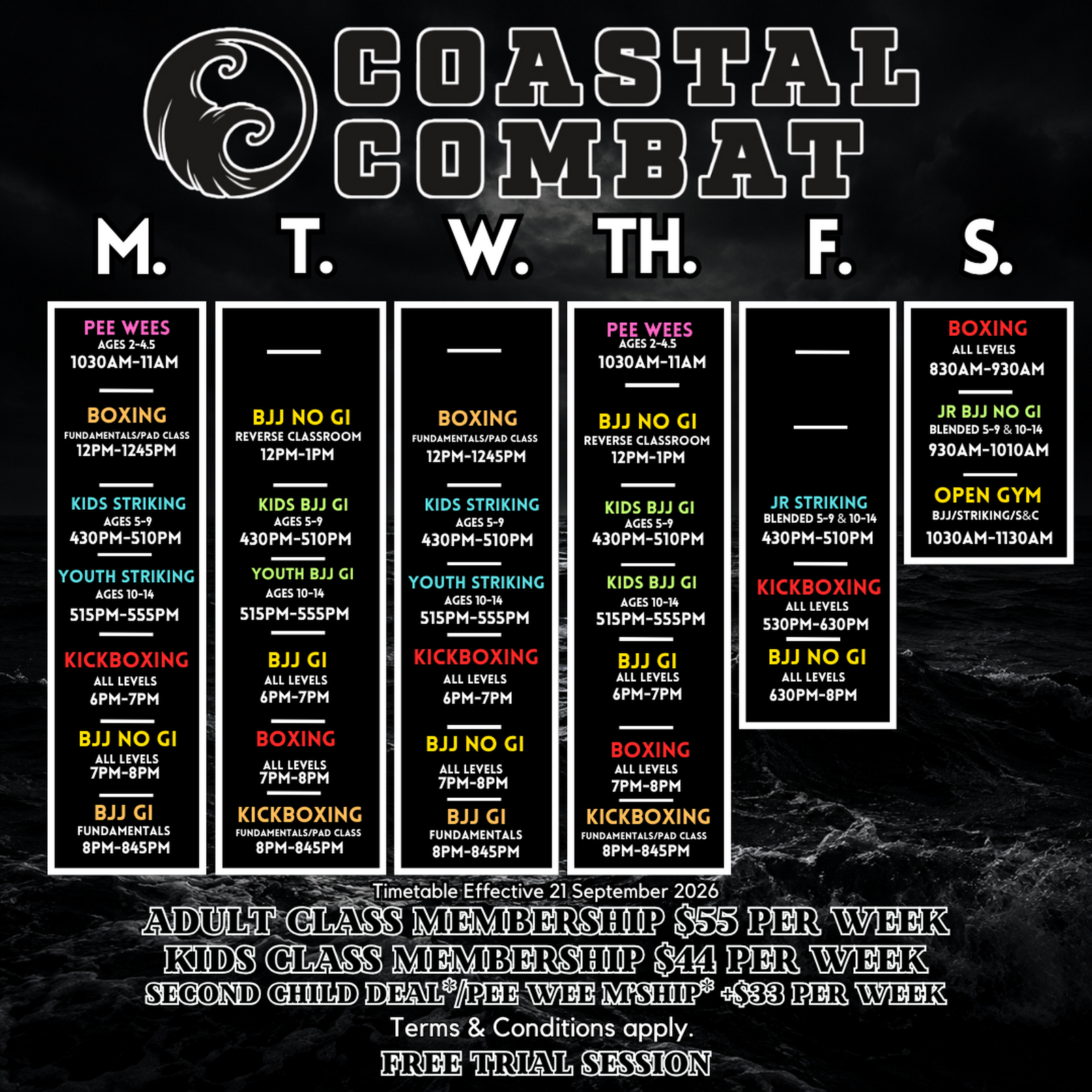 Main image of Coastal Combat