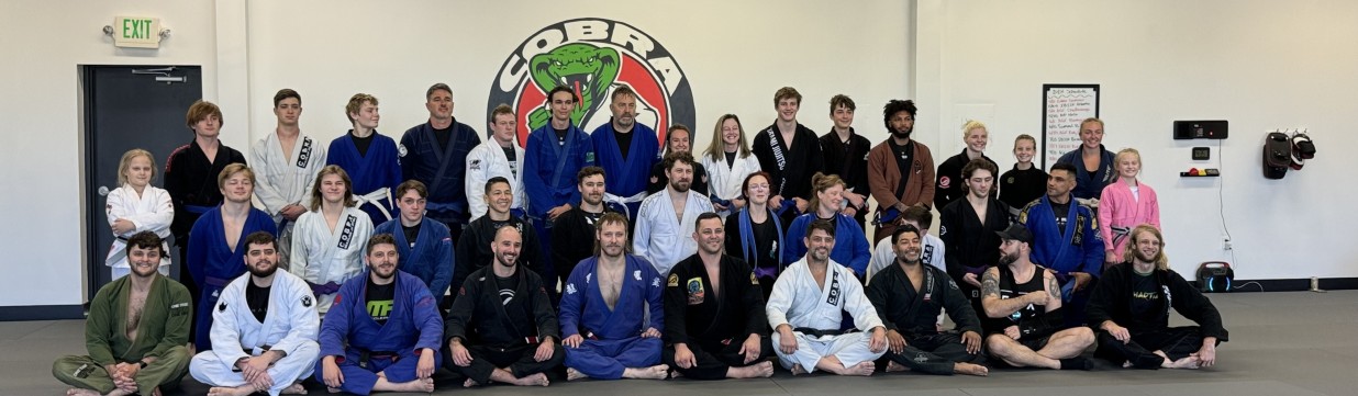 Main image of Cobra BJJ Chelsea