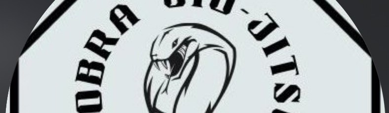 Main image of Cobra Jiu jitsu