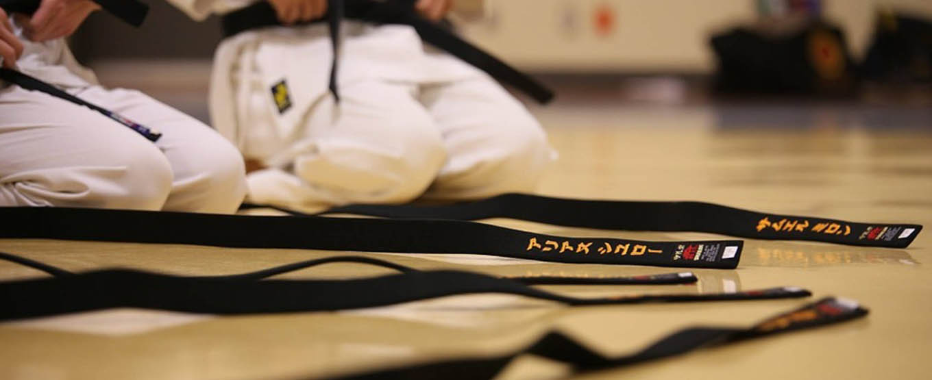 Main image of Cobra Karate School Canada