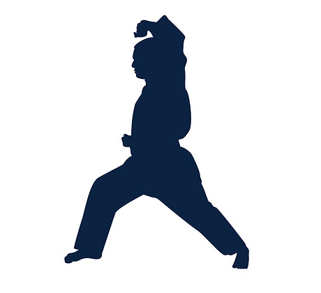 Main image of Cojalina martial arts Monk Bretton
