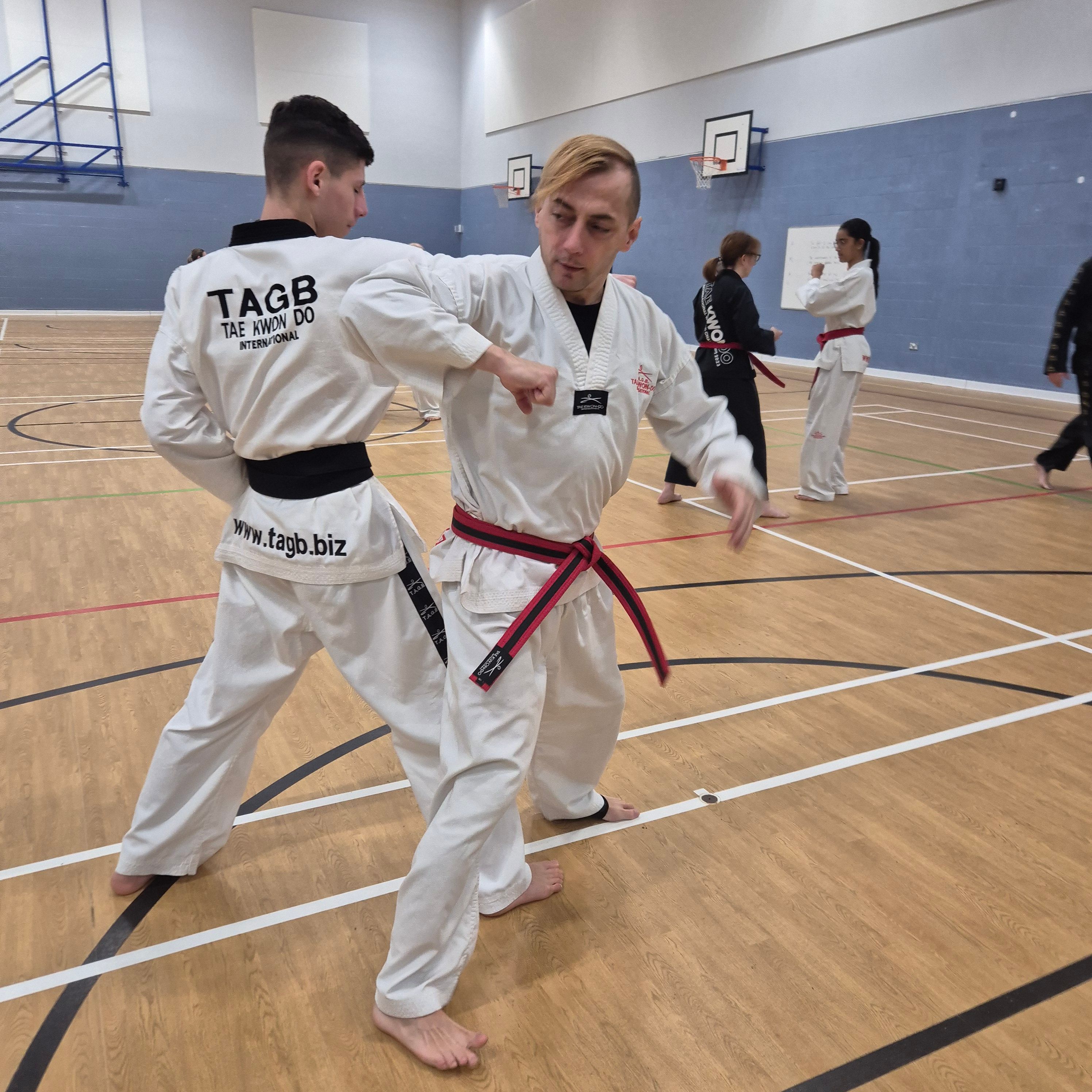 Main image of Colchester Taekwondo - TAGB