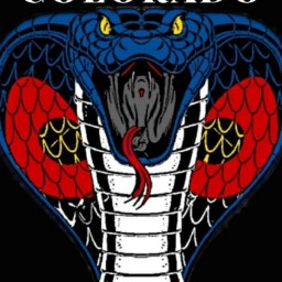 Main image of COLORADO COBRAS JIU-JITSU ACADEMY
