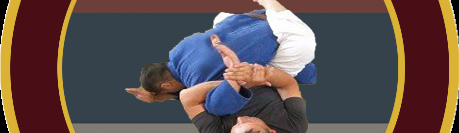 Main image of Combat BJJ Krusevac