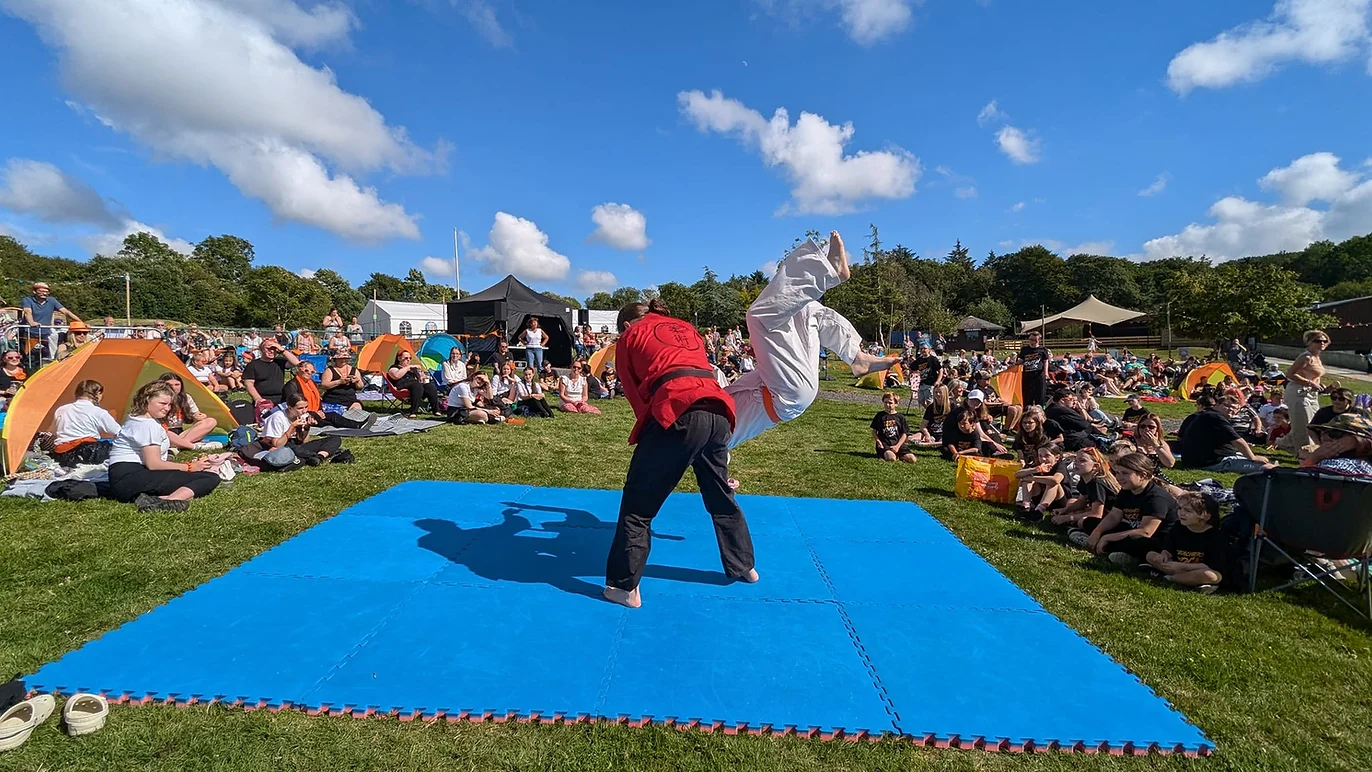 Main image of Combat Jujitsu Ryu