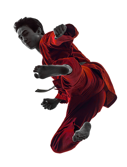 Main image of Complete Martial Arts