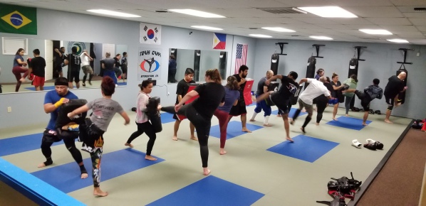 Concepcion Academy of Martial Arts
