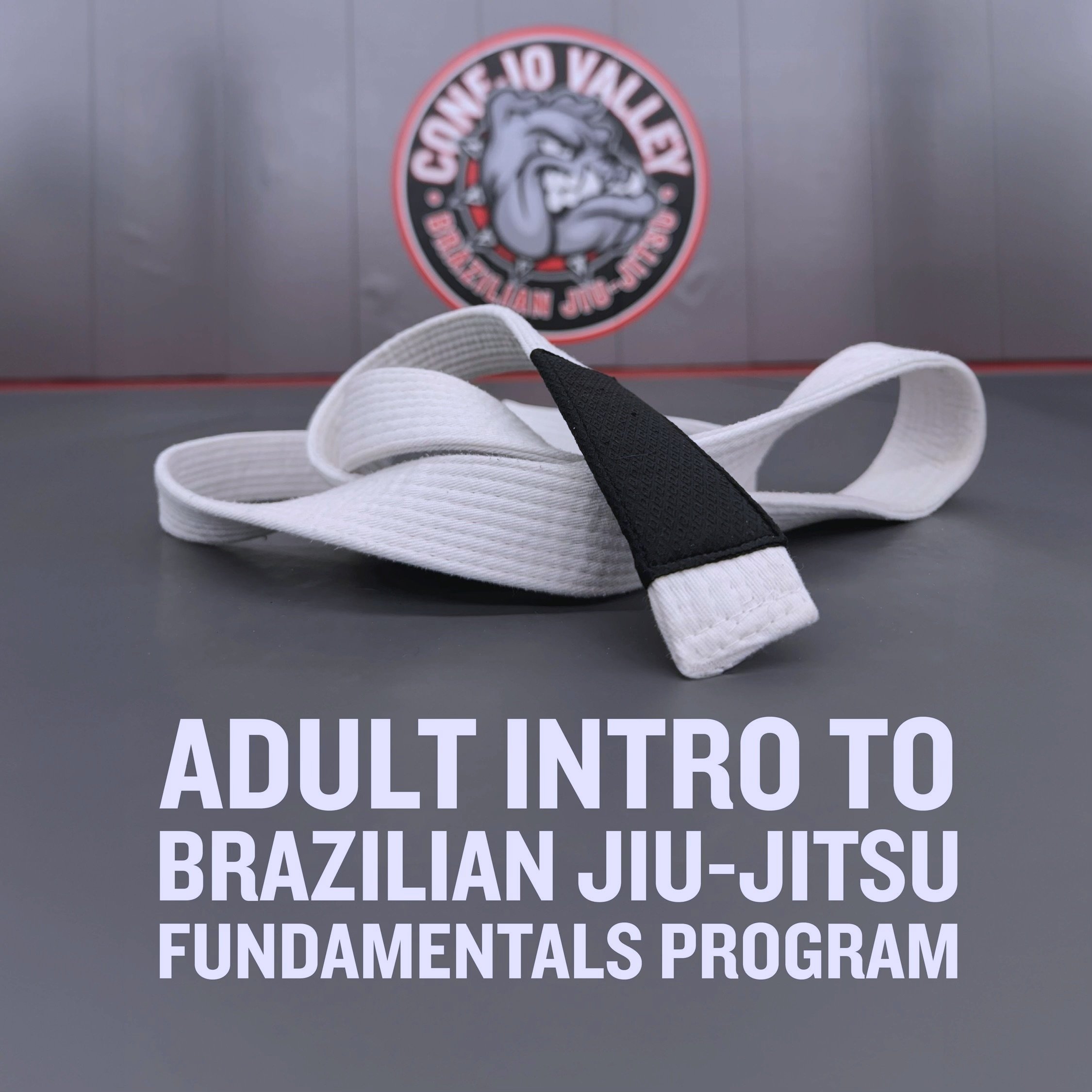 Conejo Valley Brazilian Jiu-Jitsu