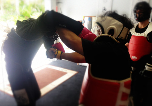 Main image of Coolum Beach Wing Chun