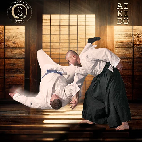 Main image of CS Mushin Dojo Bistrita