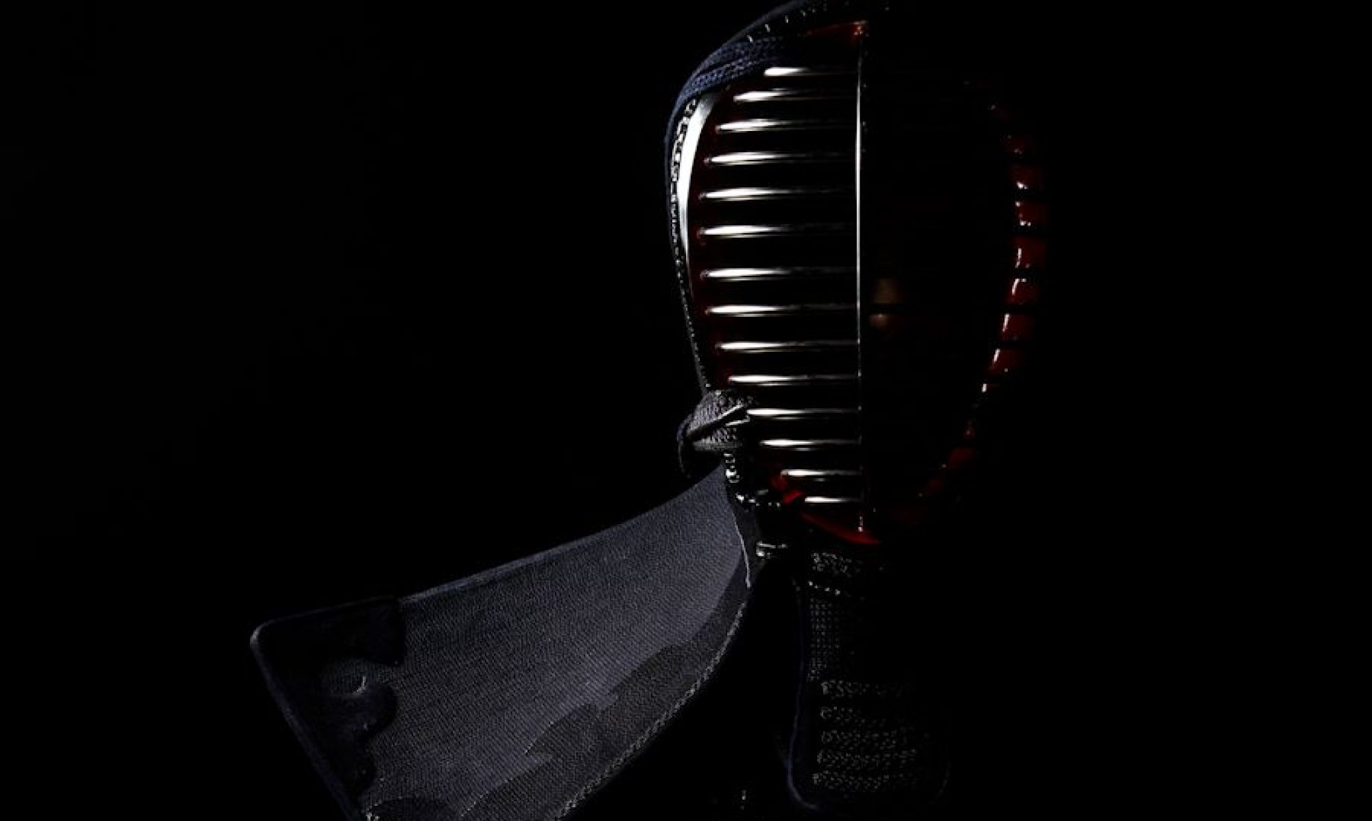 Main image of CSK Miyamoto Musashi Kendo Iaido