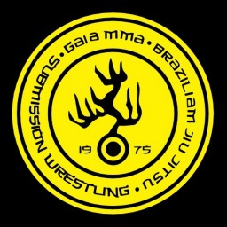 Main image of CT GAIA MMA BRASIL
