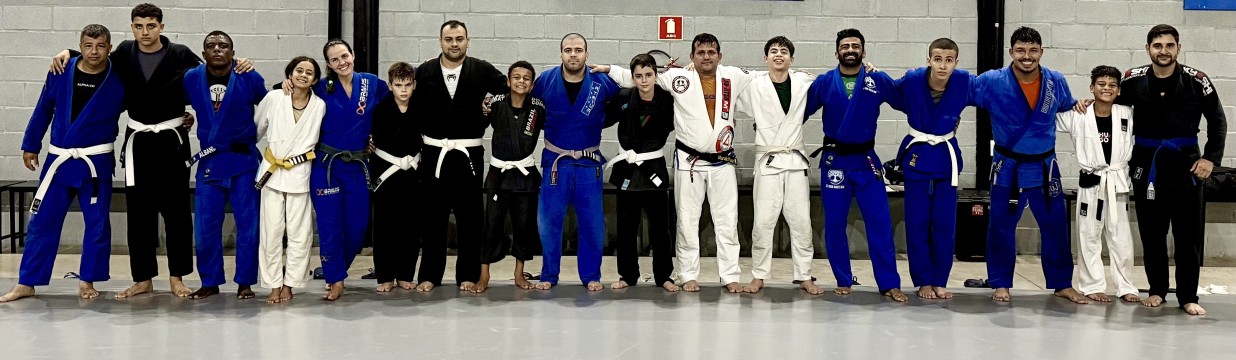 Main image of CT Iron Roots BJJ