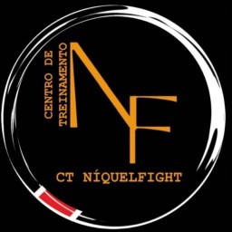 Main image of CT niquel fight