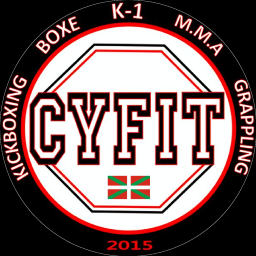 Main image of CYFIT ipparalde