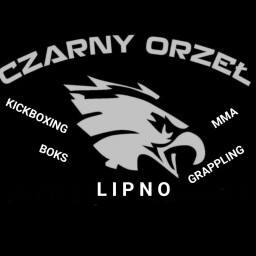 Main image of Czarny orzeł