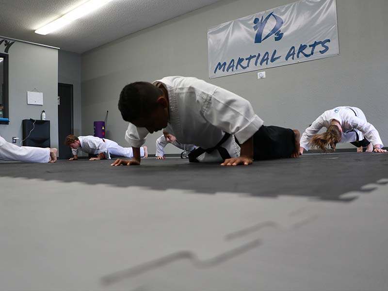 D3 Martial Arts