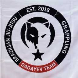 Main image of DADAYEV_team