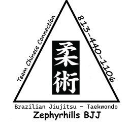 Main image of Dade City BJJ
