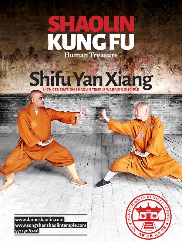 Main image of Damo Shaolin Kung Fu School
