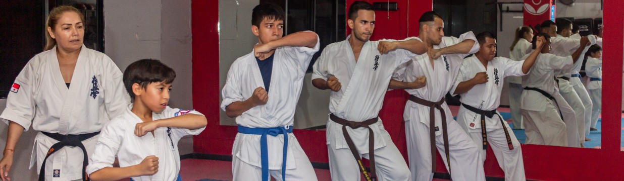 Main image of Daruma Dojo Panama