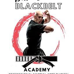 Main image of Dave Breed Blackbelt Academy