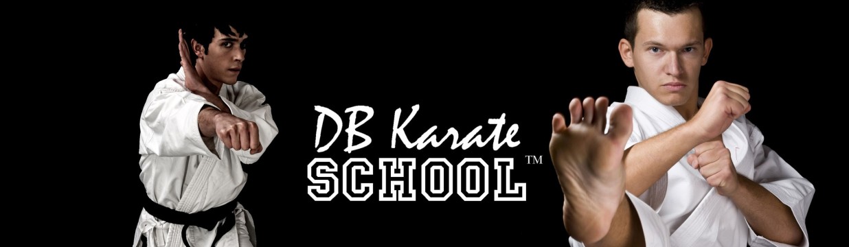 Main image of DB Karate School