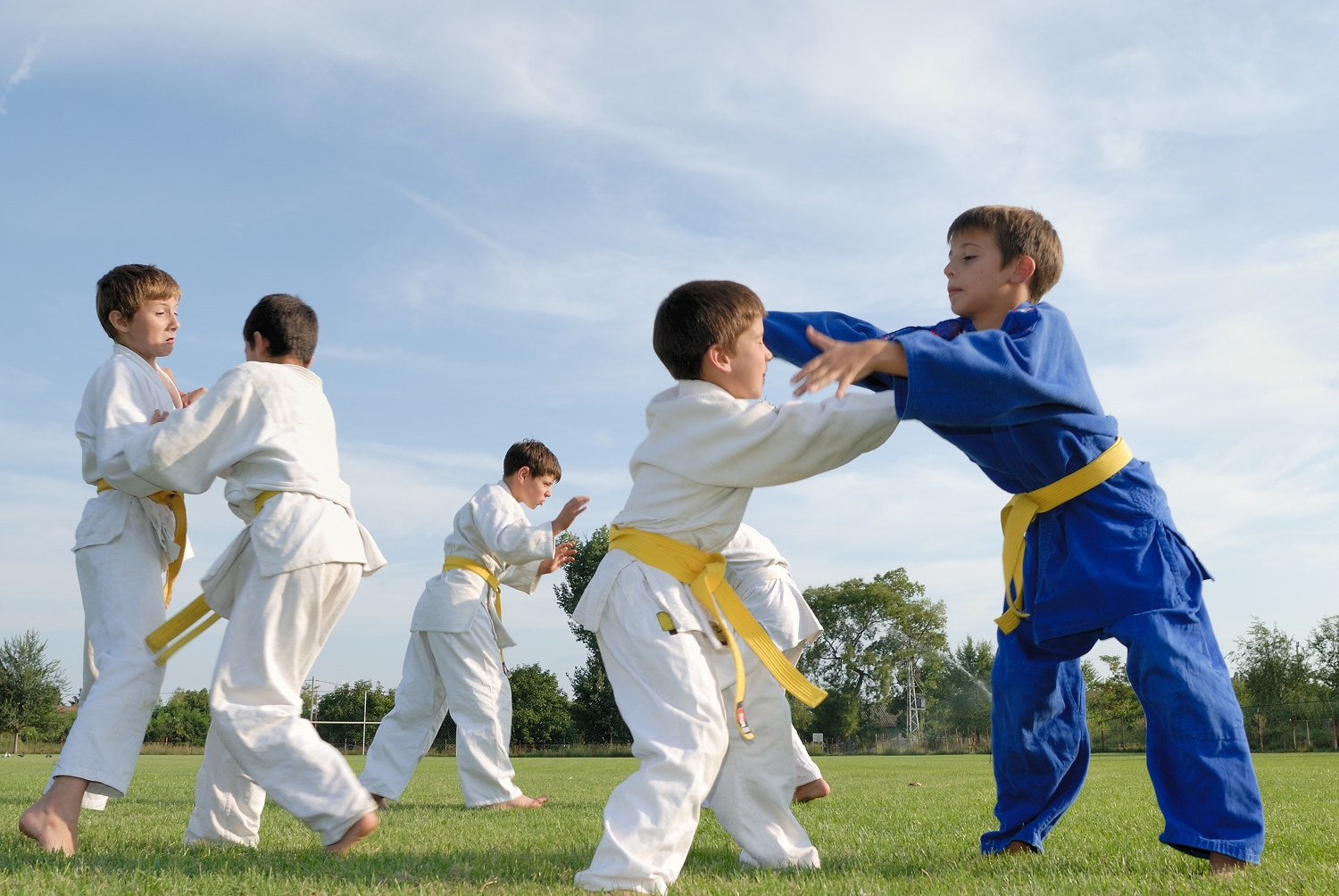 Main image of De Bijl & Gross Judo