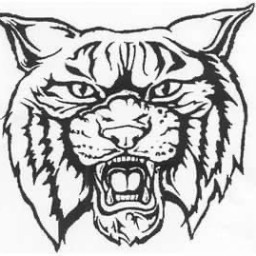 Main image of Dearborn Heights Wildcats Wrestling Club