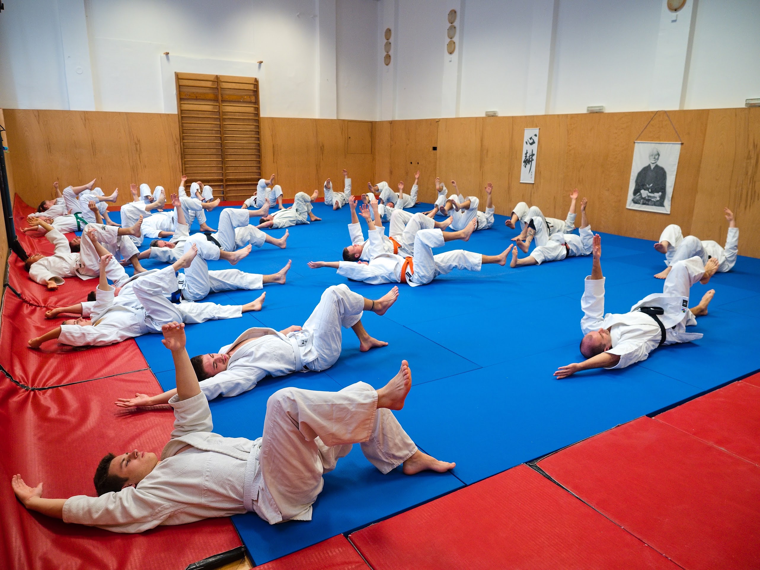 Main image of Dentokan