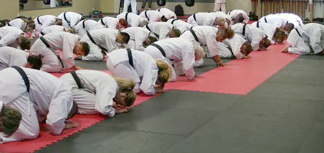 Main image of Desa School of Karate