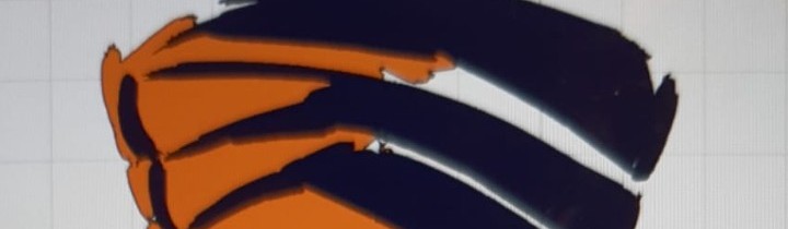 Main image of Desert warrior bjj