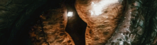 Main image of Devil Dog
