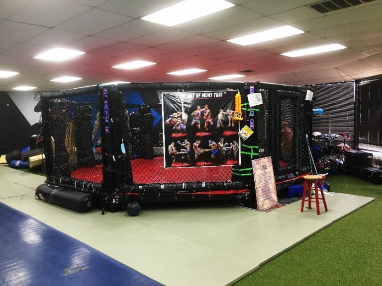 DFW MMA - Jiu Jitsu & Muay Thai Boxing Fight Team - Arlington academy photo