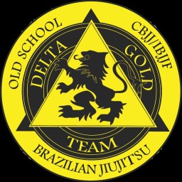 Main image of DGT internacional