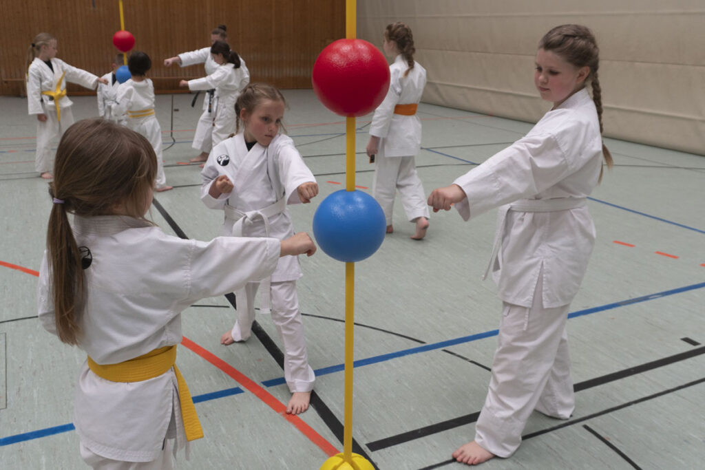 Main image of Dhammika Karate-do Amorbach E.v.