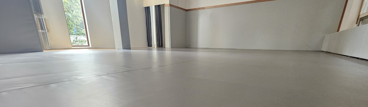 Main image of Dharma Jiu Jitsu Collective