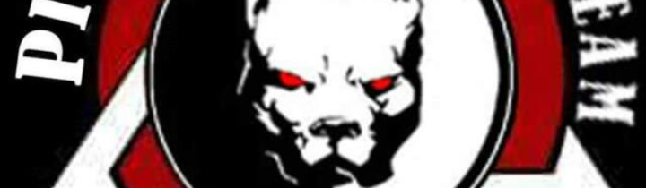 Main image of Di matteo-Pitbull fight team
