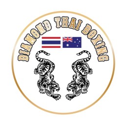 Main image of Diamond Thai Boxing