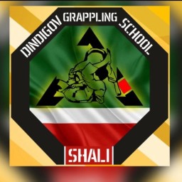 Main image of DINDIGOV GRAPPLING SCHOOL