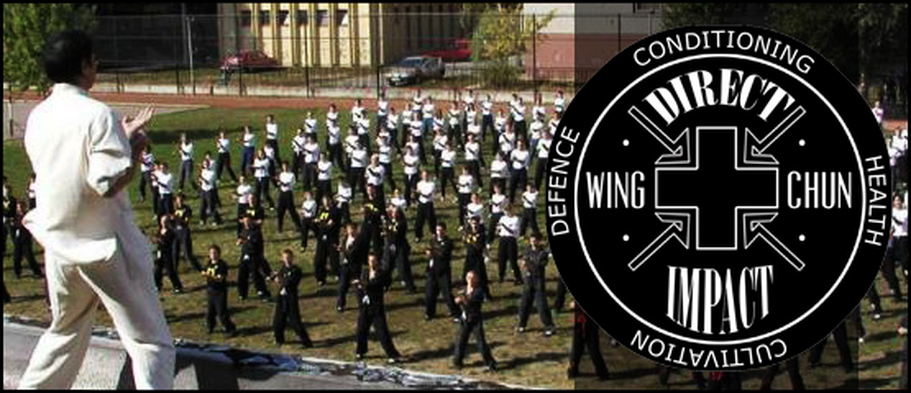 Main image of Direct::Impact Wing Chun