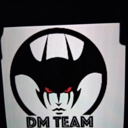 Main image of DM Team K1 MMA