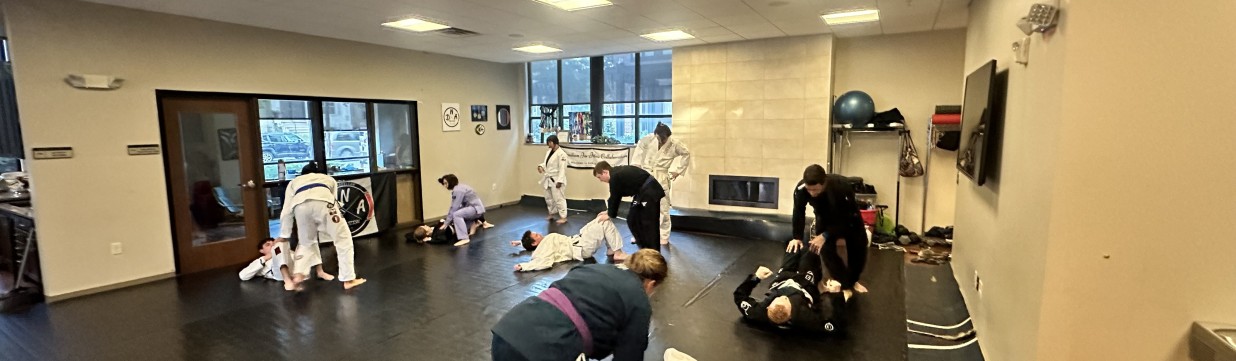 Main image of DNA Brazilian Jiu Jitsu