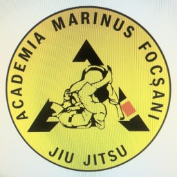 Main image of Dobrica Valerica Marian