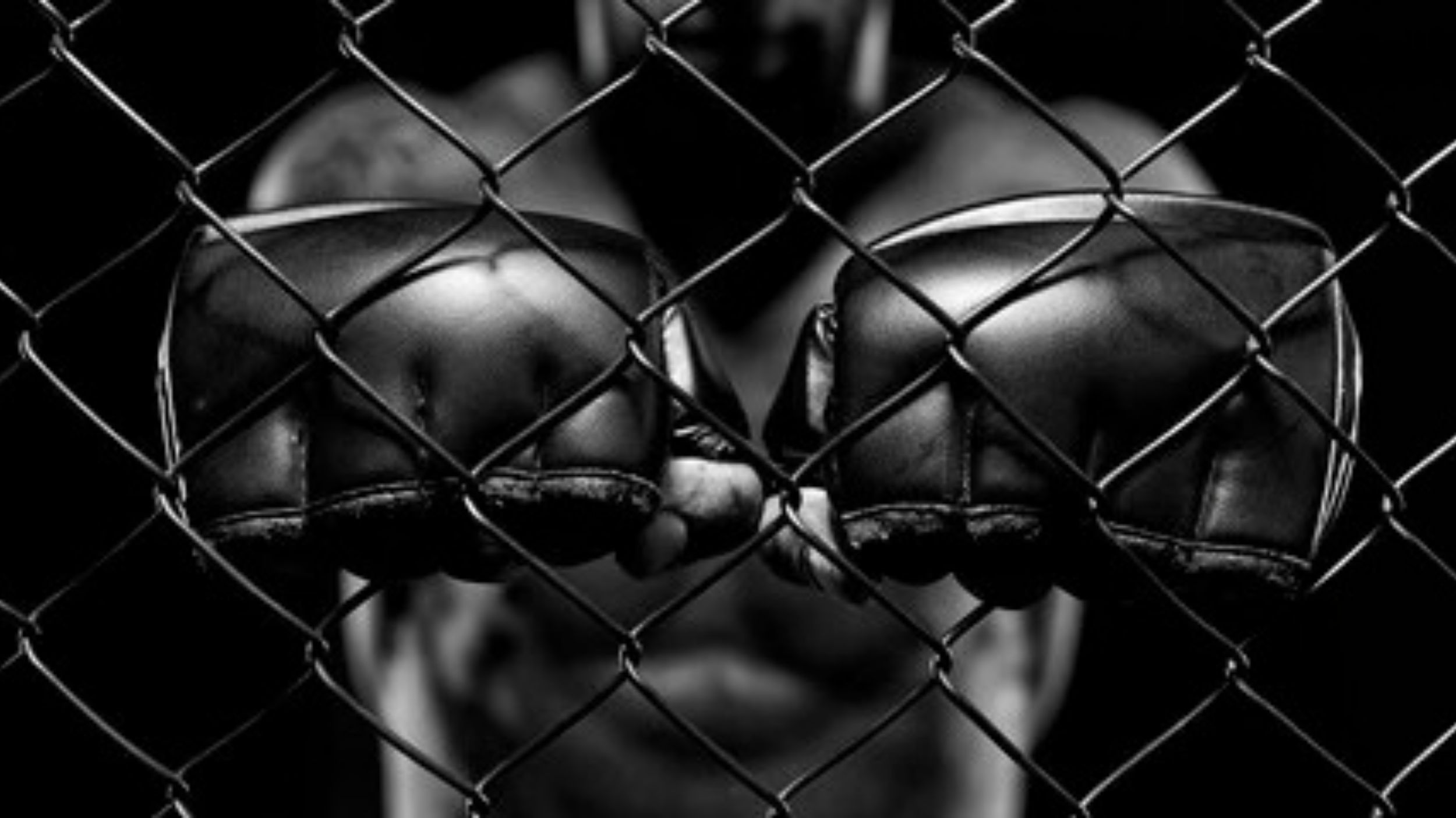 Main image of DOG FIGHT MMA